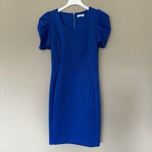 Calvin Klein 10 Blue Sheath Dress Knee Length Gold Zipper Back Scuba Knit Career